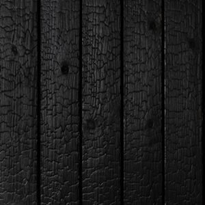 Deginta eglė Carbon