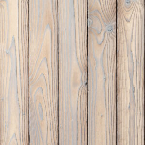 Deginta eglė White