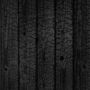 Degintas maumedis Carbon