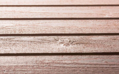 Lauko dailylentės – kaip išsirinkti tinkamiausias?